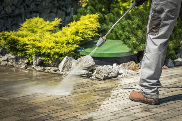 Best Soft Washing for Delicate Surfaces in Shinnecock Hills, NY