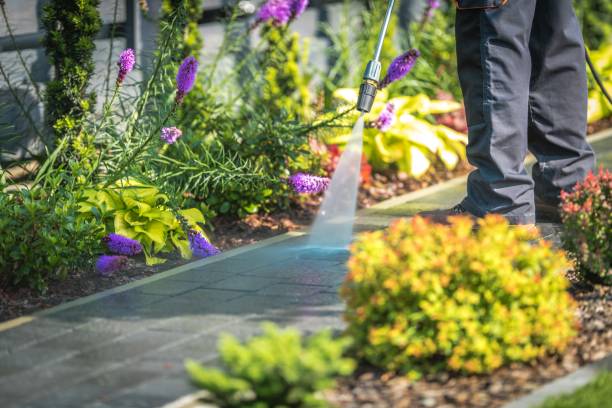 Trusted Shinnecock Hills, NY Pressure Washing Services Experts